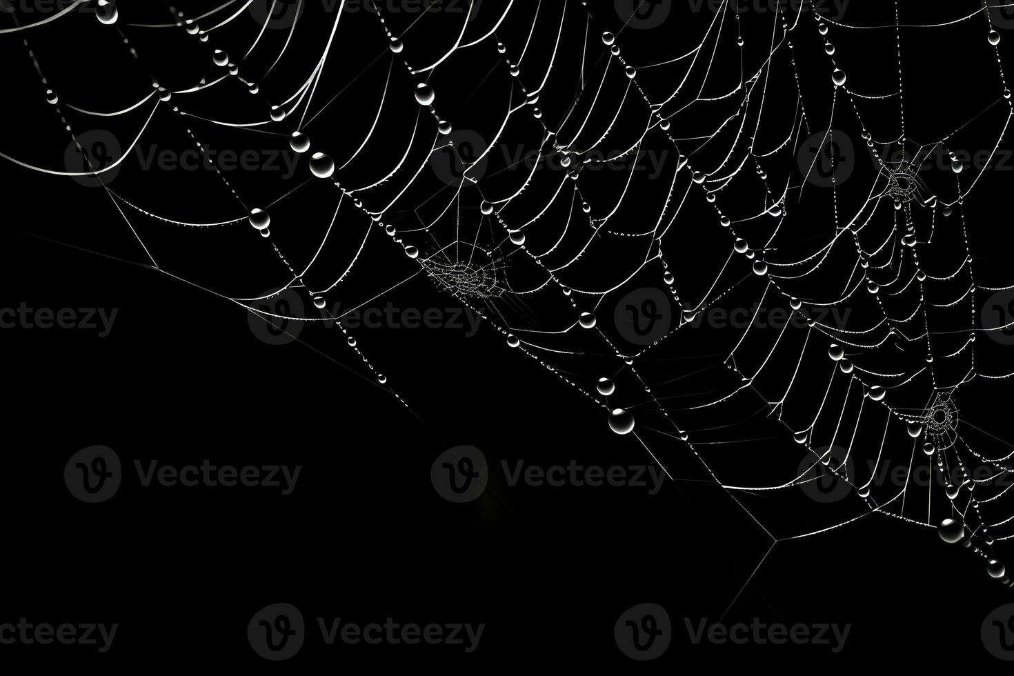 spindelnät med mörk bakgrund, Spindel webb med vatten droppar, ai genererad foto