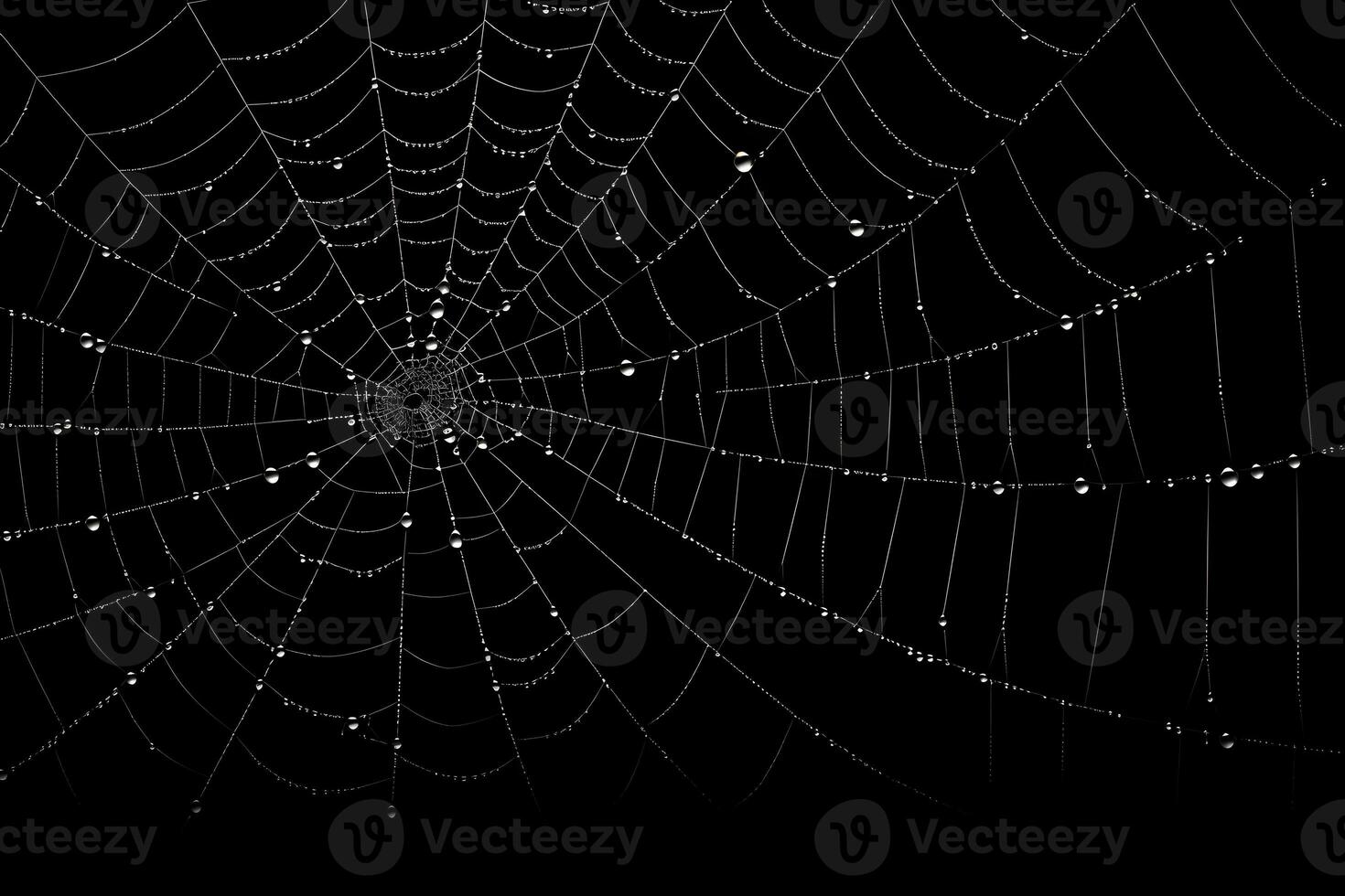 spindelnät med mörk bakgrund täcka över, vit spindelnät, ai genererad foto