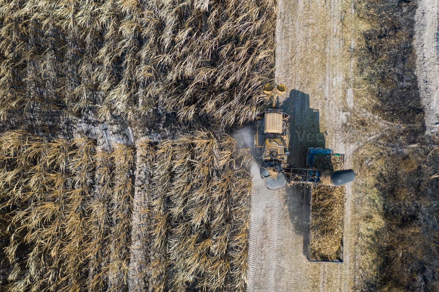 Flygfoto ovanifrån av sockerrörsskärare arbetar utomhus foto