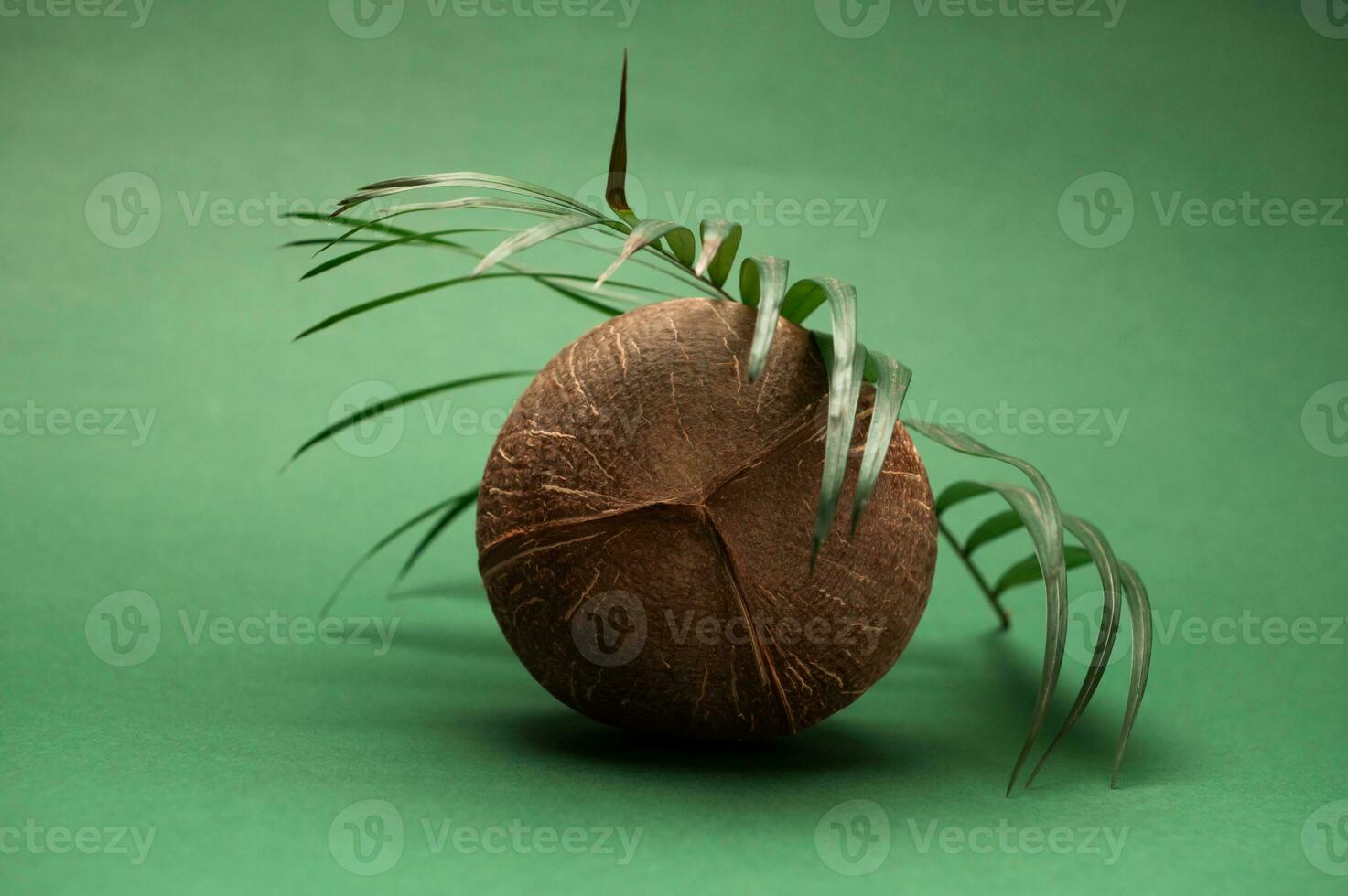 fortfarande liv med en kokos och handflatan blad isolerat över mörk grön studio bakgrund. foto