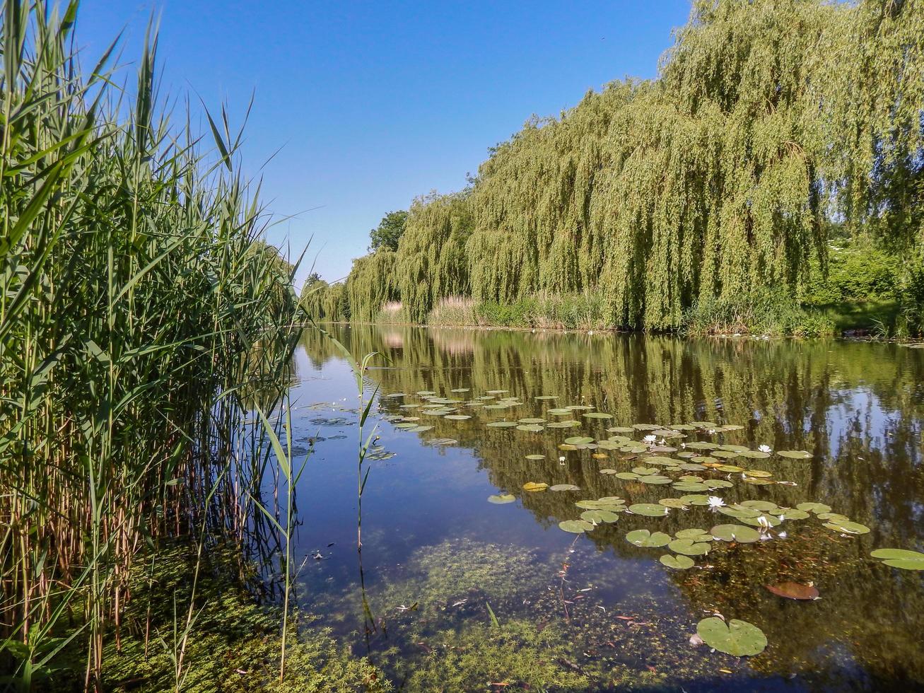 reflektionerna i floden foto