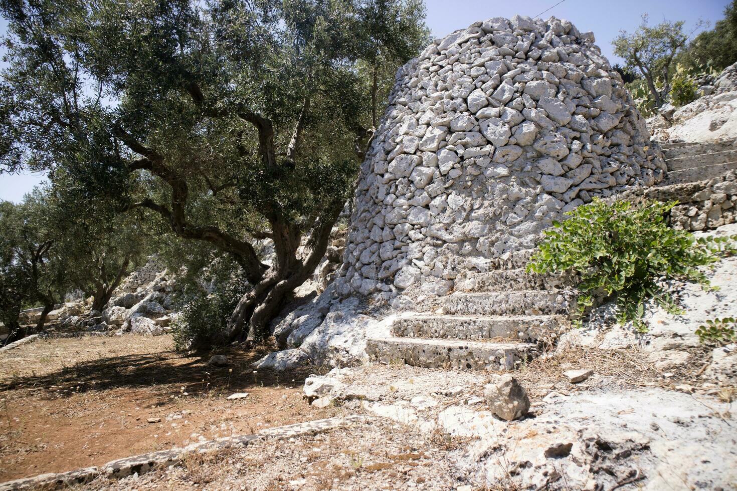 de pajare av salento foto