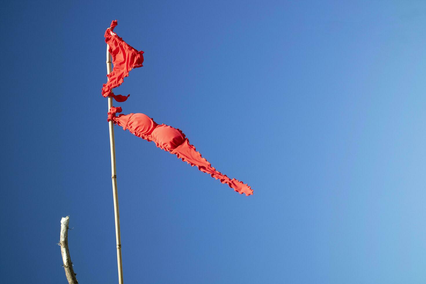 kvinnors baddräkt till torr i de vind som en flagga foto