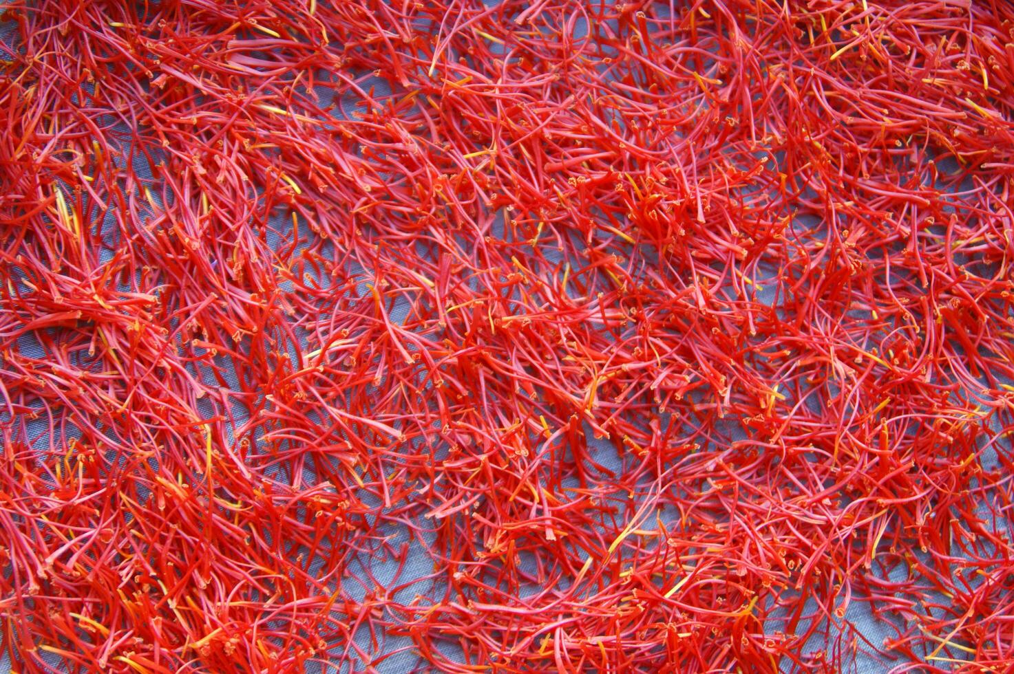 en lugg av röd saffran på en tallrik foto