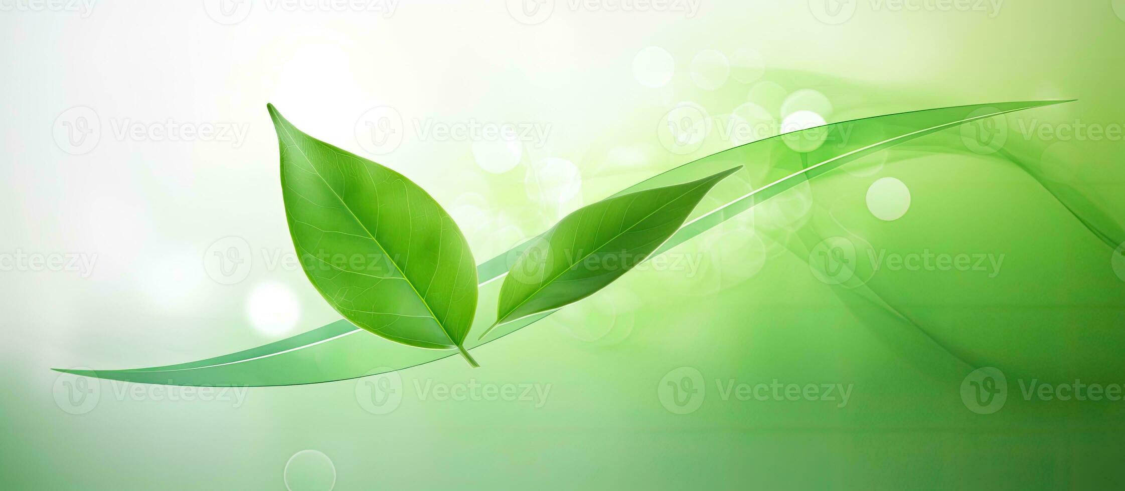 naturlig begrepp, miljö, och organisk Produkter är avbildad i en grön abstrakt pil design. foto