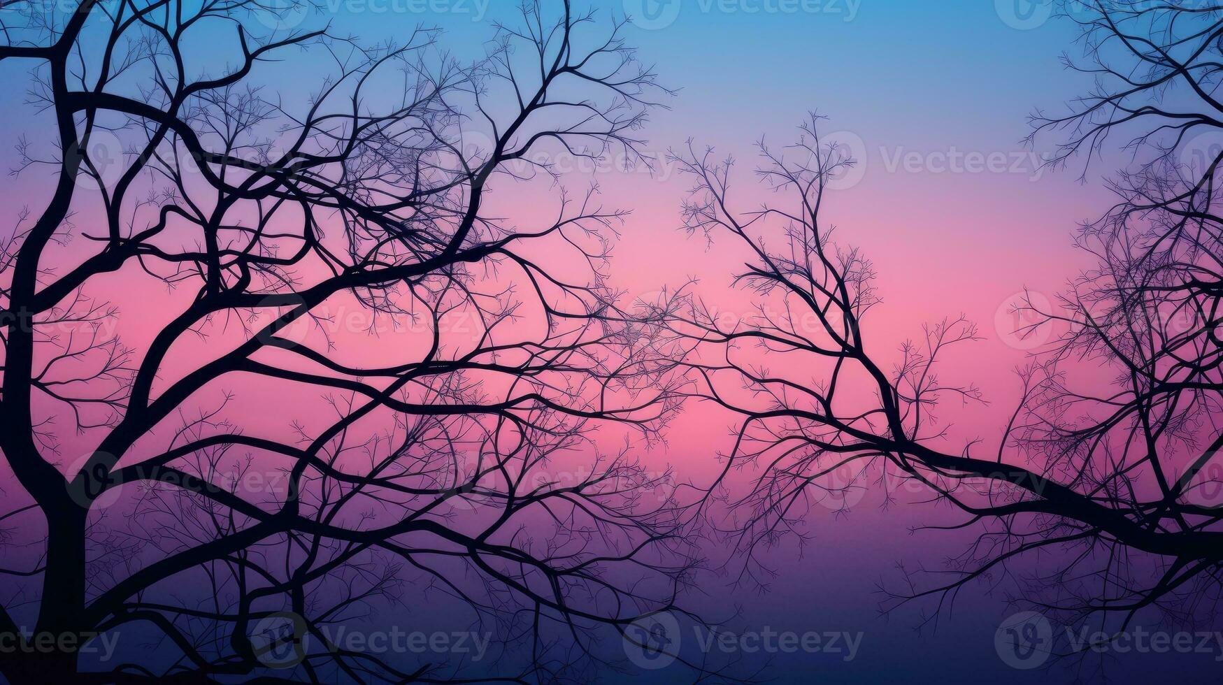 träd gren silhuett som bakgrund foto