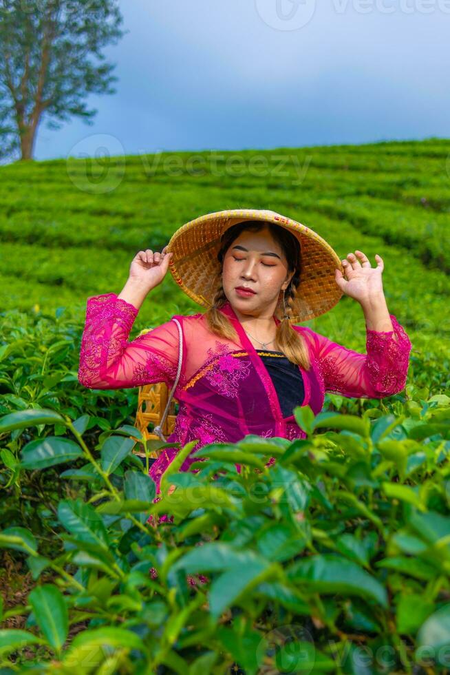 en te blad jordbrukare är skörd te löv medan bär en bambu korg och hatt i de mitten av en te plantage foto