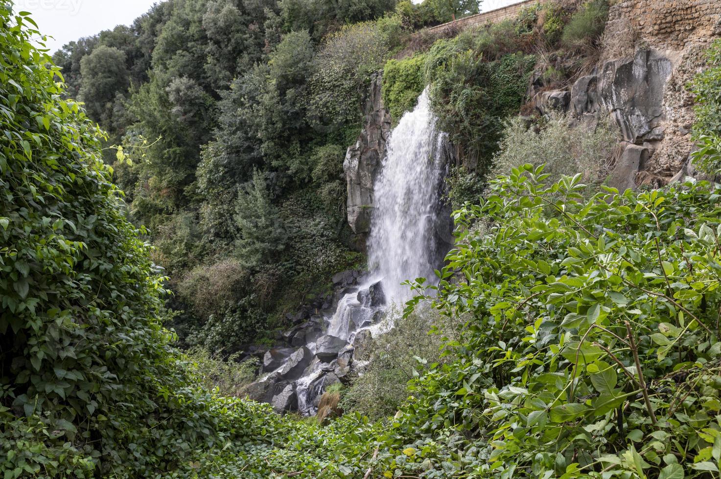 nepi-vattenfallet omgivet av grönska foto