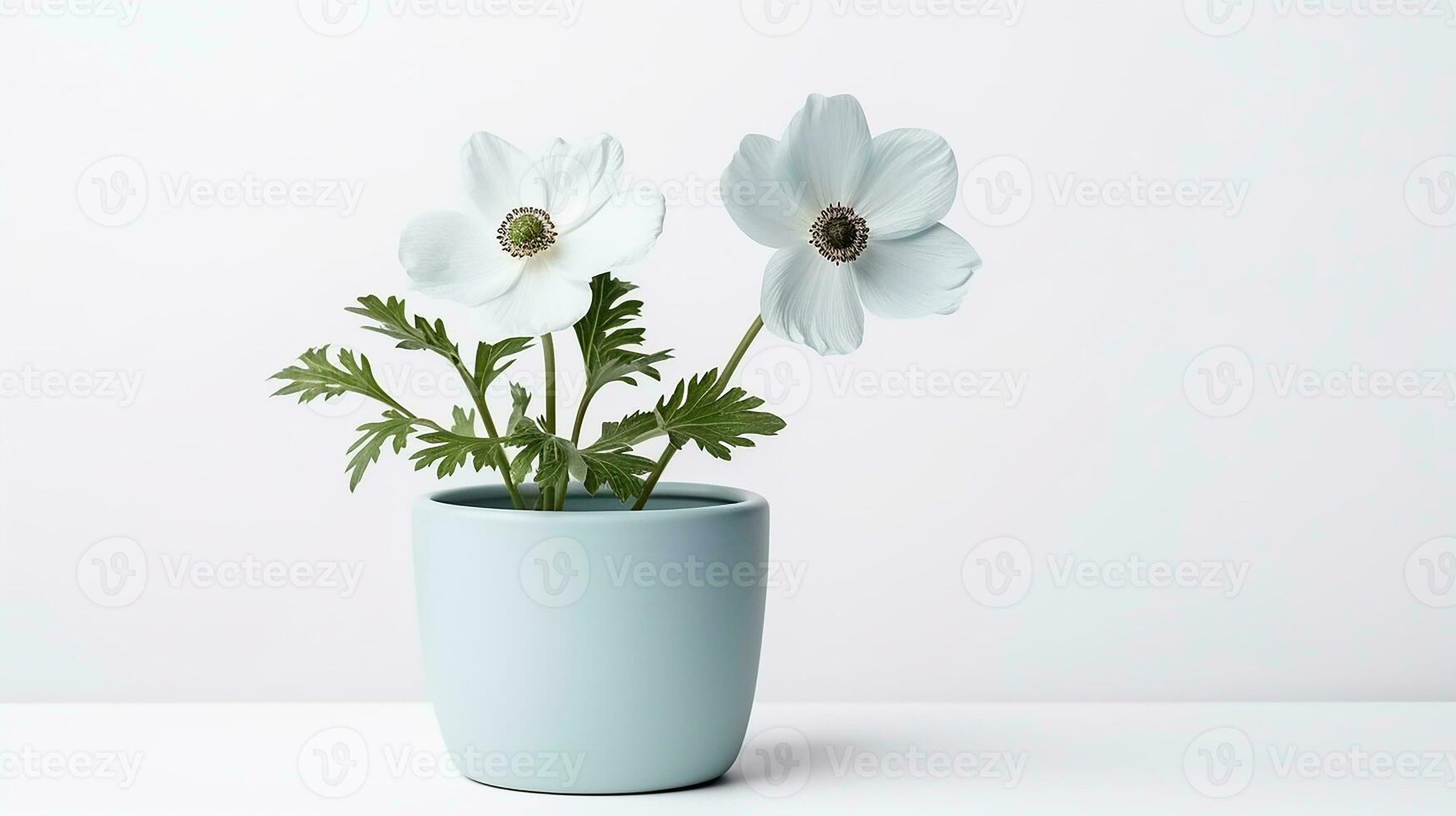Foto av windflower i pott isolerat på vit bakgrund. generativ ai