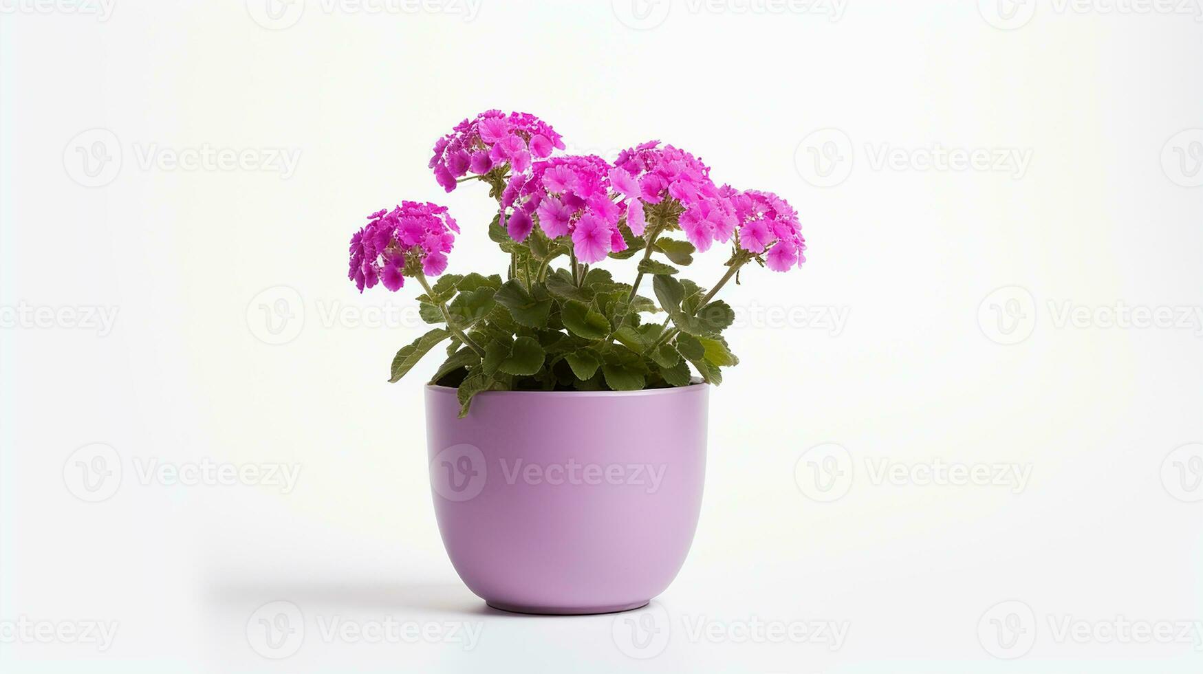 Foto av verbena blomma i pott isolerat på vit bakgrund. generativ ai