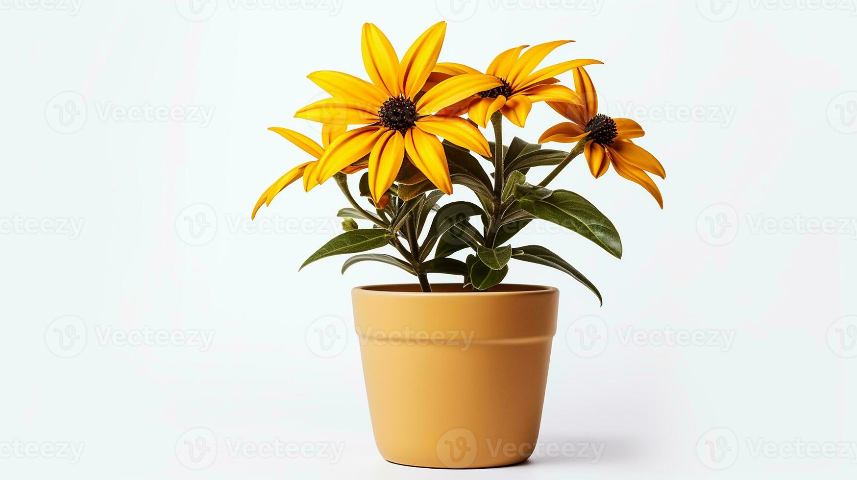 Foto av rudbeckia blomma i pott isolerat på vit bakgrund. generativ ai