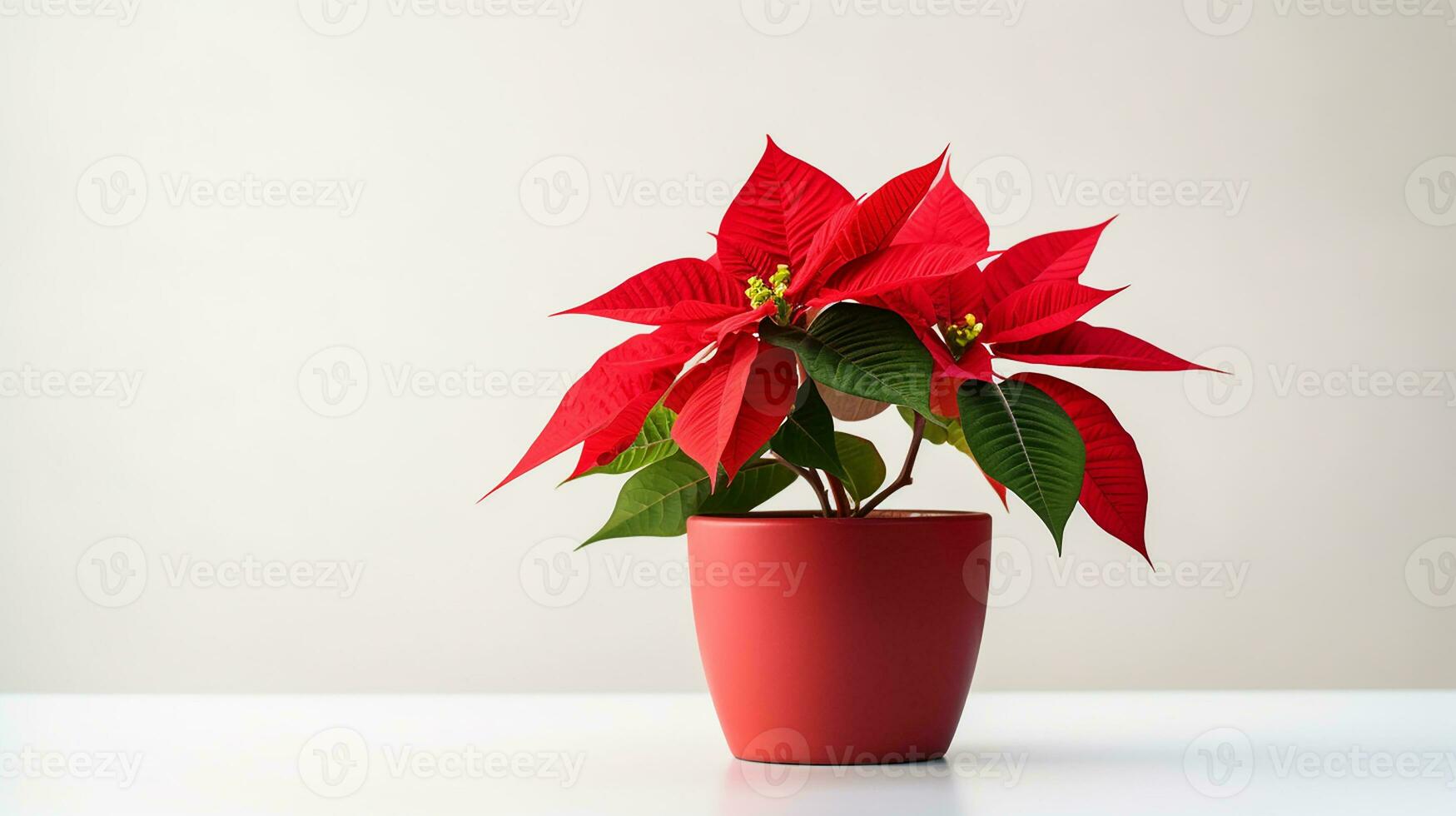 Foto av julstjärna blomma i pott isolerat på vit bakgrund. generativ ai