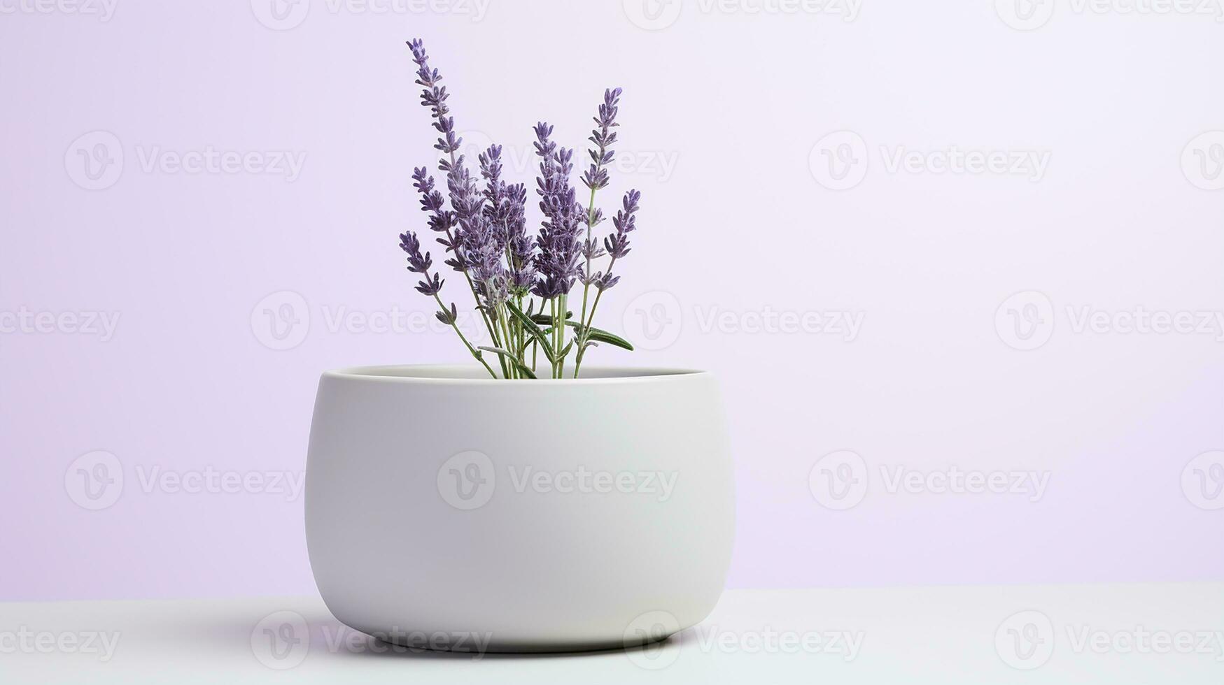 Foto av lavendel- blomma i pott isolerat på vit bakgrund. generativ ai