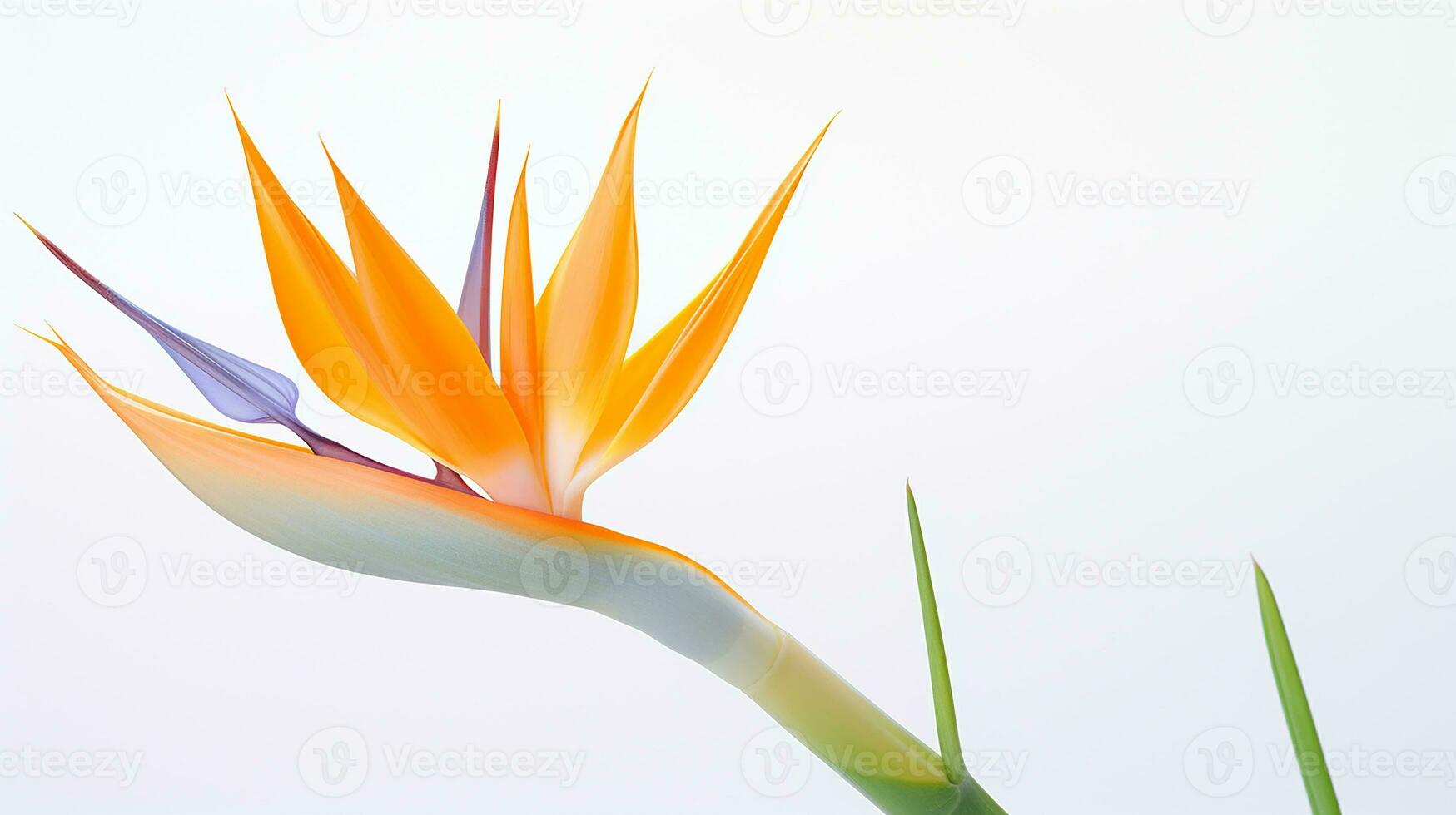 Foto av skön strelitzia blomma isolerat på vit bakgrund. generativ ai