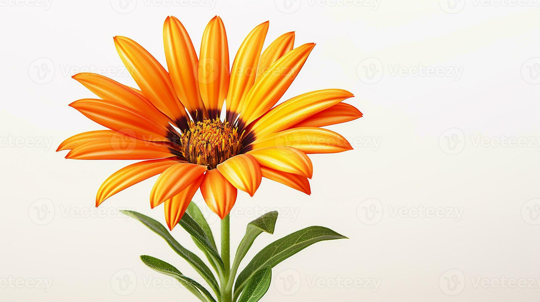 Foto av skön gazania blomma isolerat på vit bakgrund. generativ ai