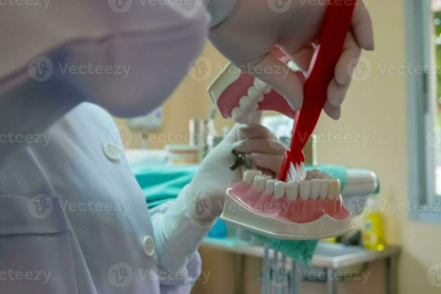 proteser i dental kliniker tandläkare använda sig av den till kommunicera med patienter. foto