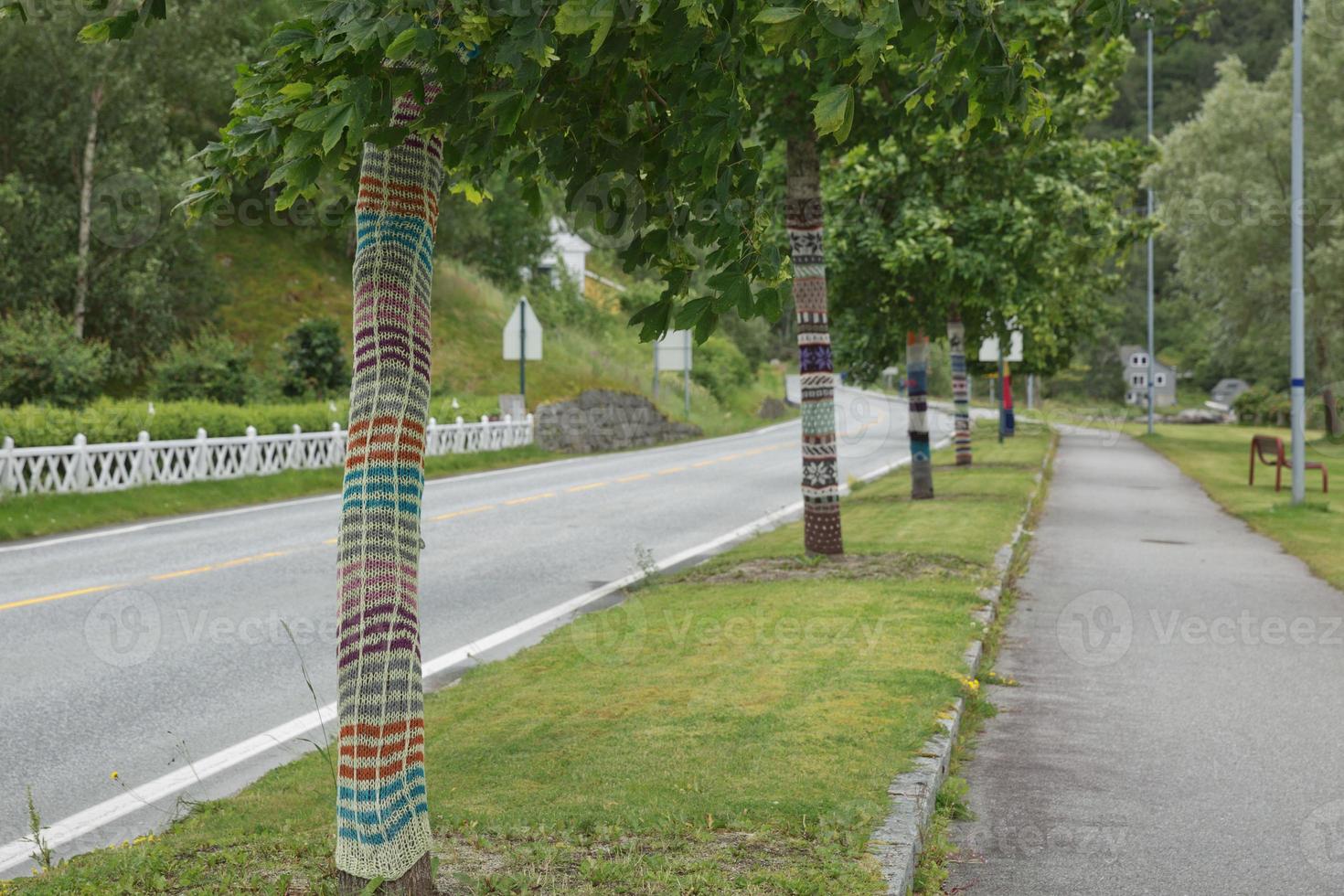 stickade träd i eidfkord, norge foto