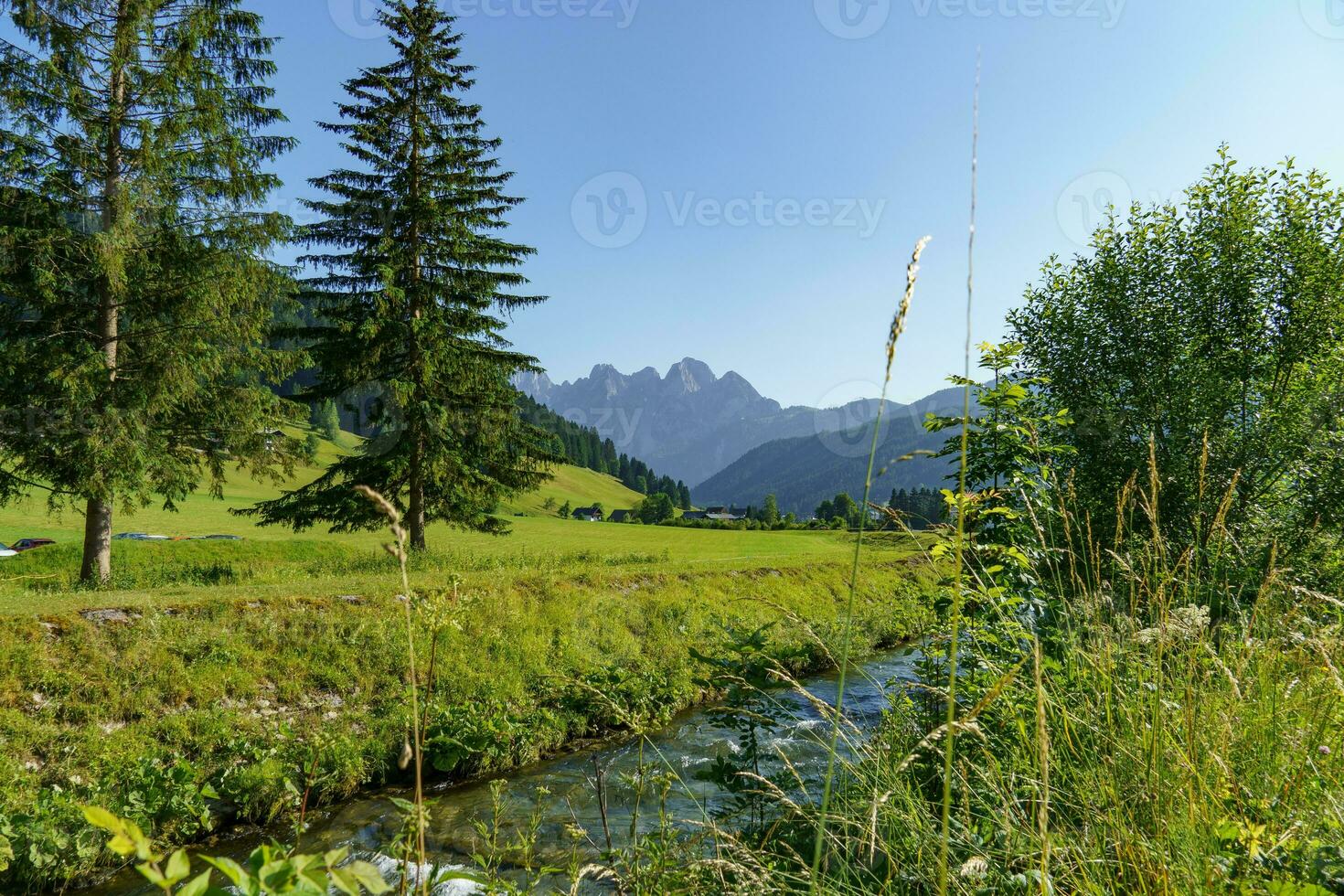 sommar tid i vacker österrike foto