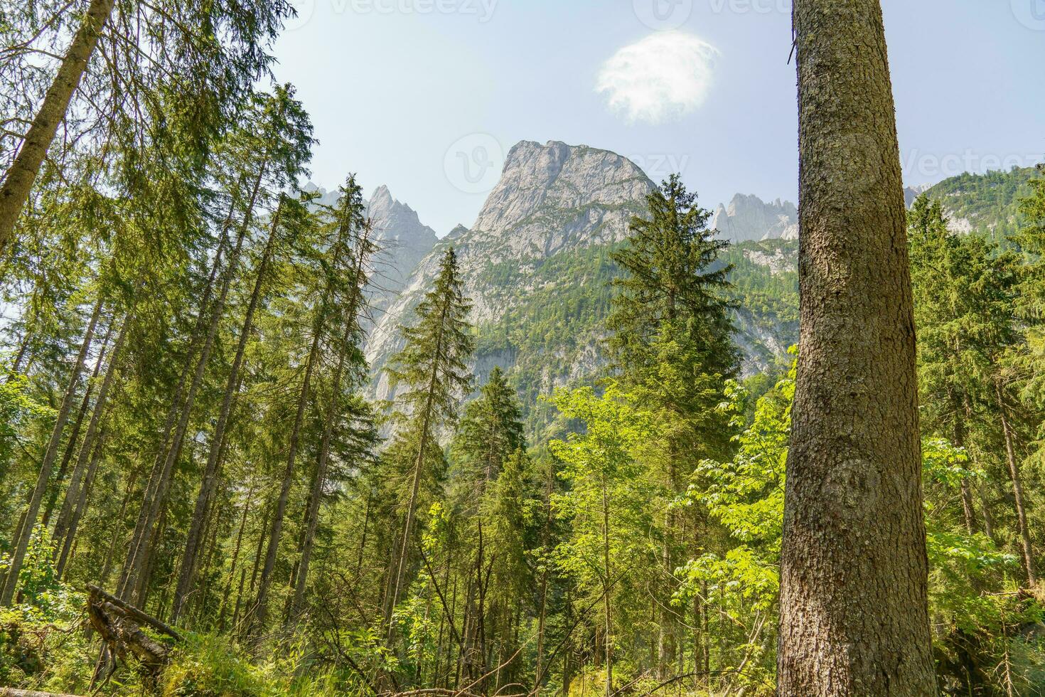 de skönhet av österrike foto