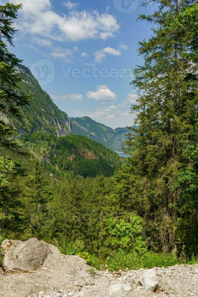 de natur av österrike foto