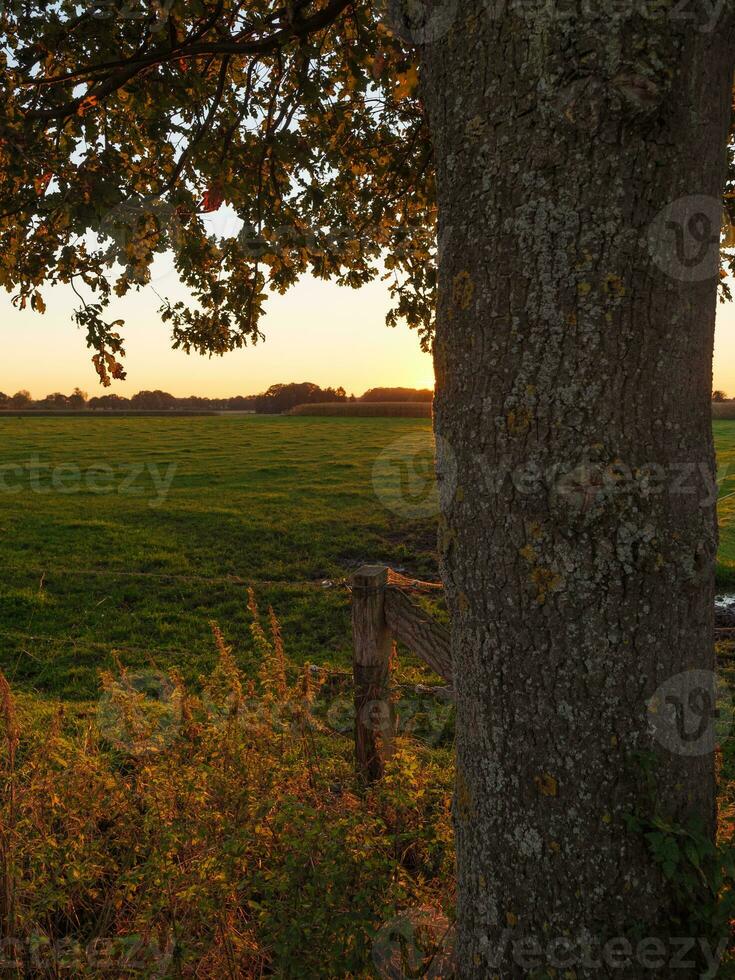 sommar tid i Westfalen foto