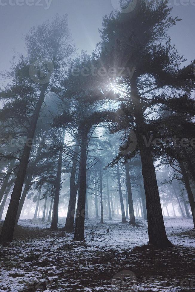 vinter på berget under vintersäsongen foto