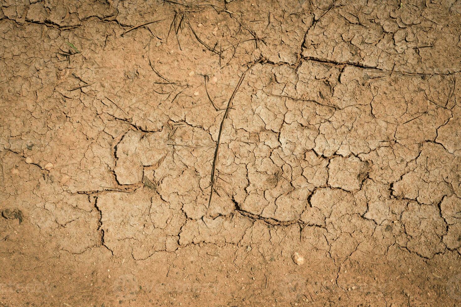 spricka jord torr säsong på sand bakgrund. foto