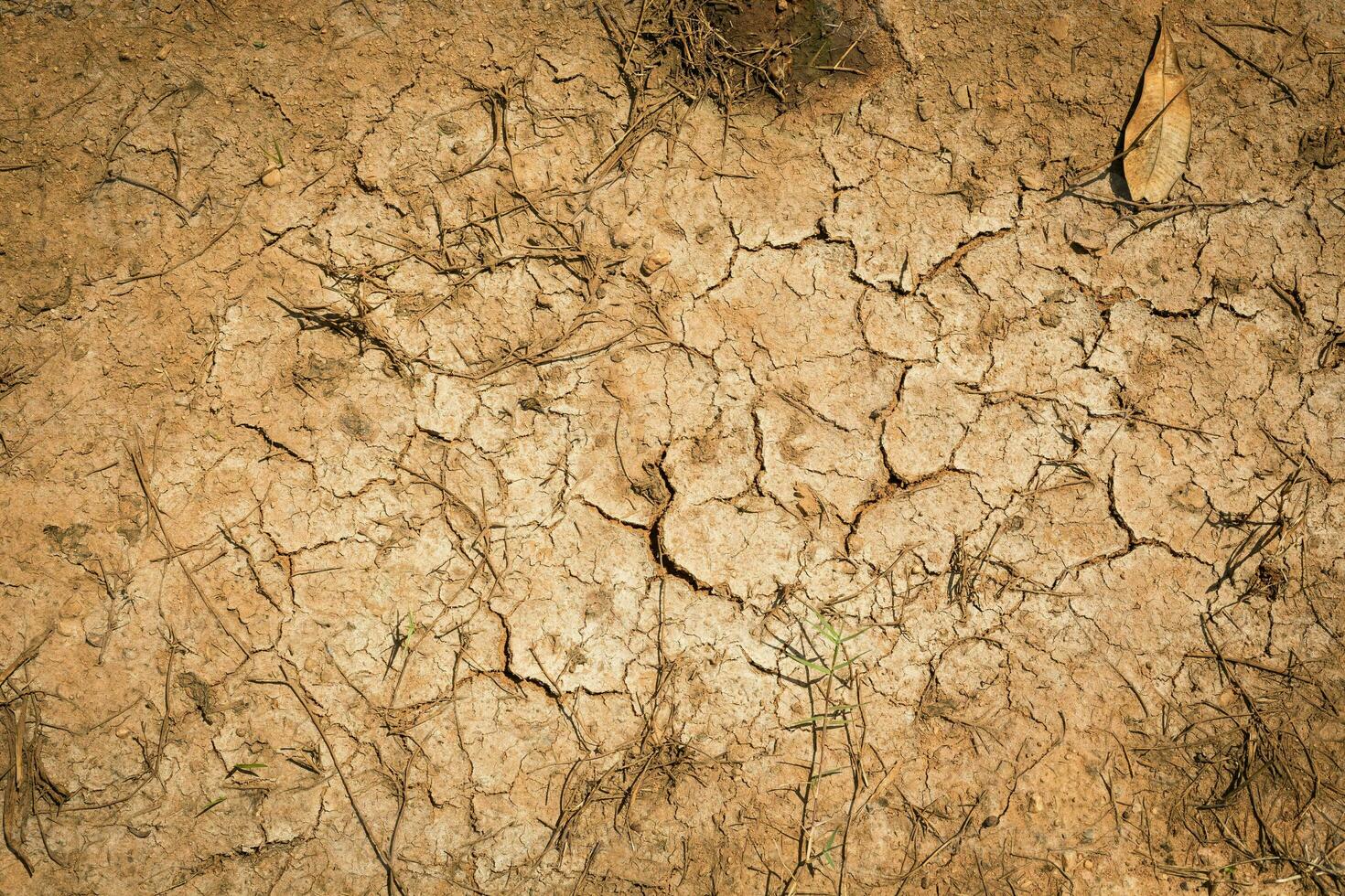 spricka jord torr säsong på sand bakgrund. foto