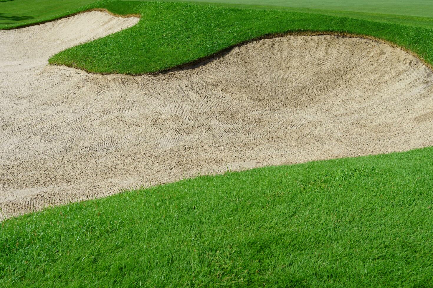 golf kurs sand grop bunkrar, grön gräs omgivande de skön sand hål är ett av de mest utmanande hinder för golfare och lägger till till de skönhet av de golf kurs. foto