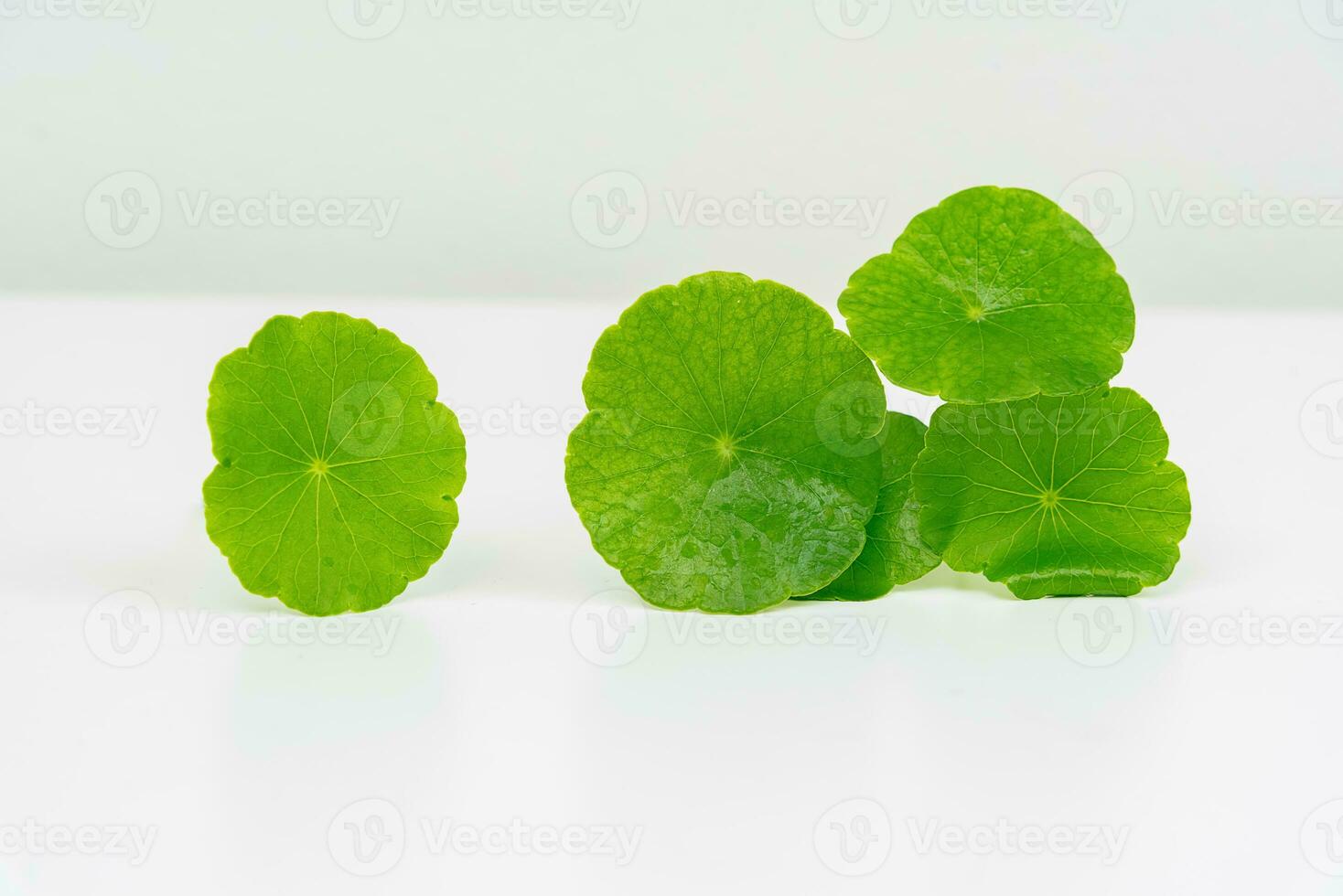 en glas bägare som innehåller vatten och centella asiatica dekorerad med erlenmeyer flaska och runda podium foto