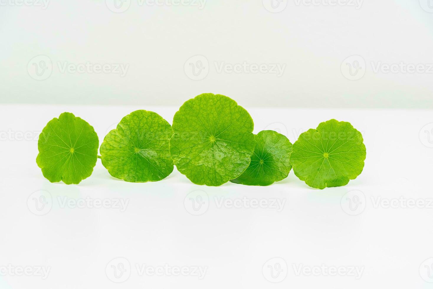 en glas bägare som innehåller vatten och centella asiatica dekorerad med erlenmeyer flaska och runda podium foto