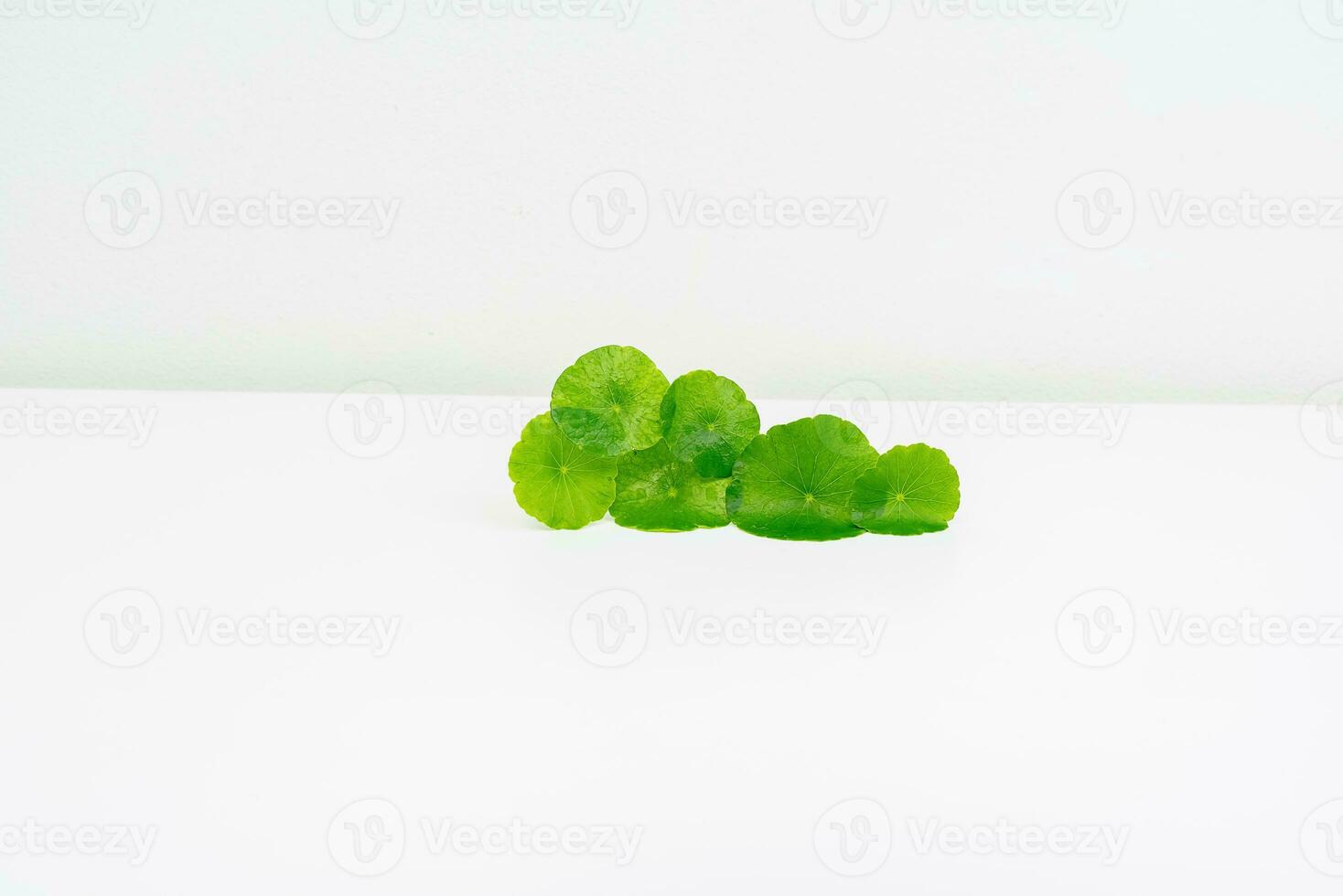 en glas bägare som innehåller vatten och centella asiatica dekorerad med erlenmeyer flaska och runda podium foto