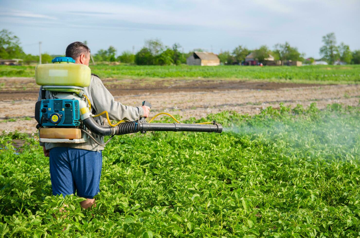 kherson oblast, ukraina - Maj 22, 2021 jordbrukare sprayer en potatis plantage med en spruta. dimma spruta, fungicid och pesticid. beskära skydd av kultiverad växter mot insekter och svamp. foto