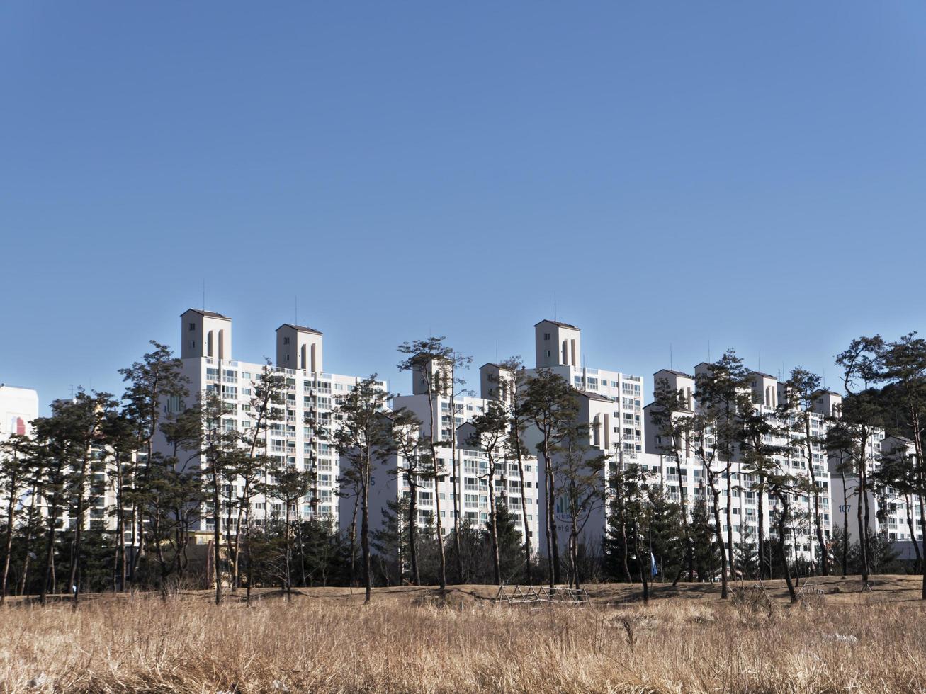 stora byggnader i gangneung city, Sydkorea foto