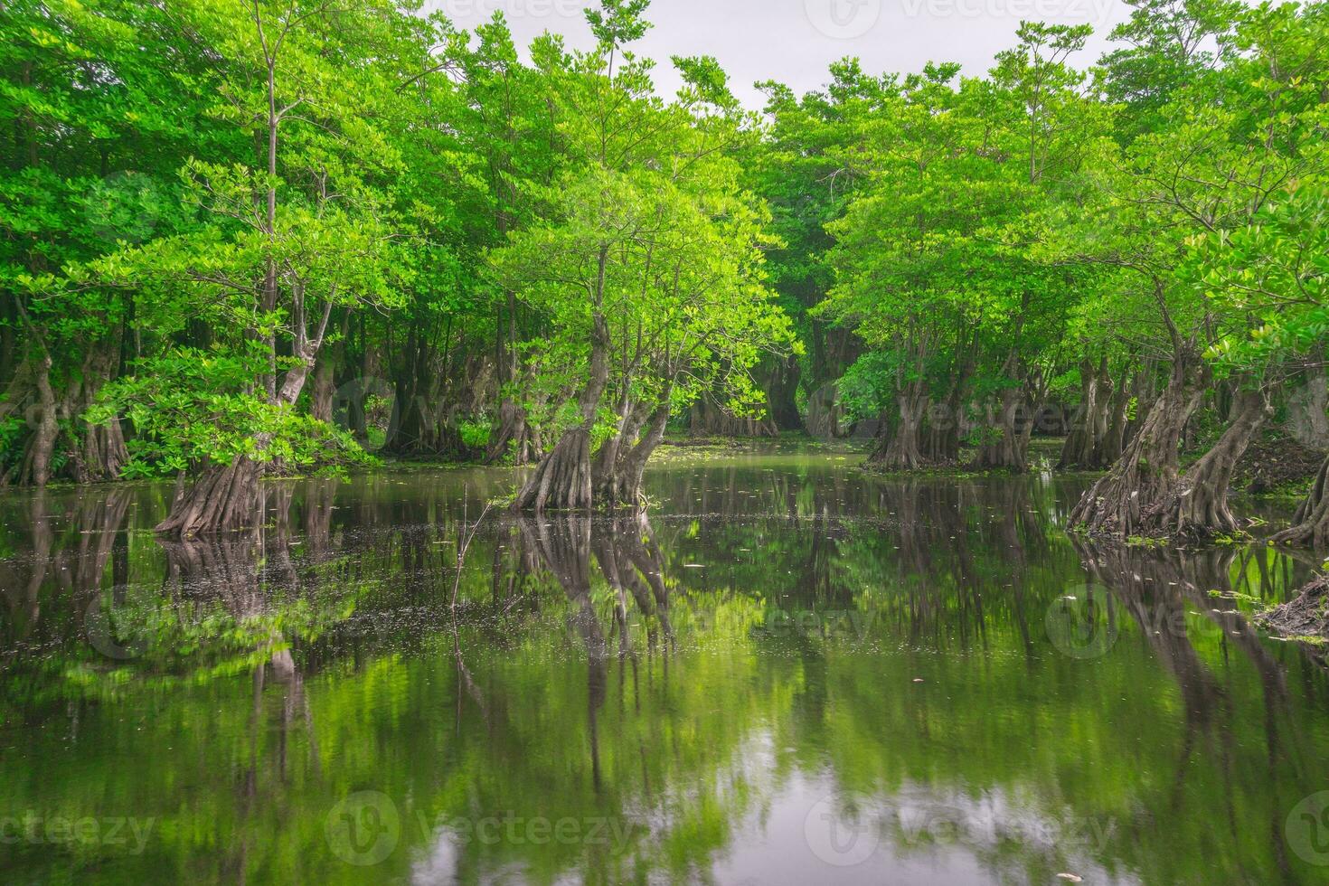 skön morgon- se indonesien panorama landskap irländare fält med skönhet Färg och himmel naturlig ljus foto