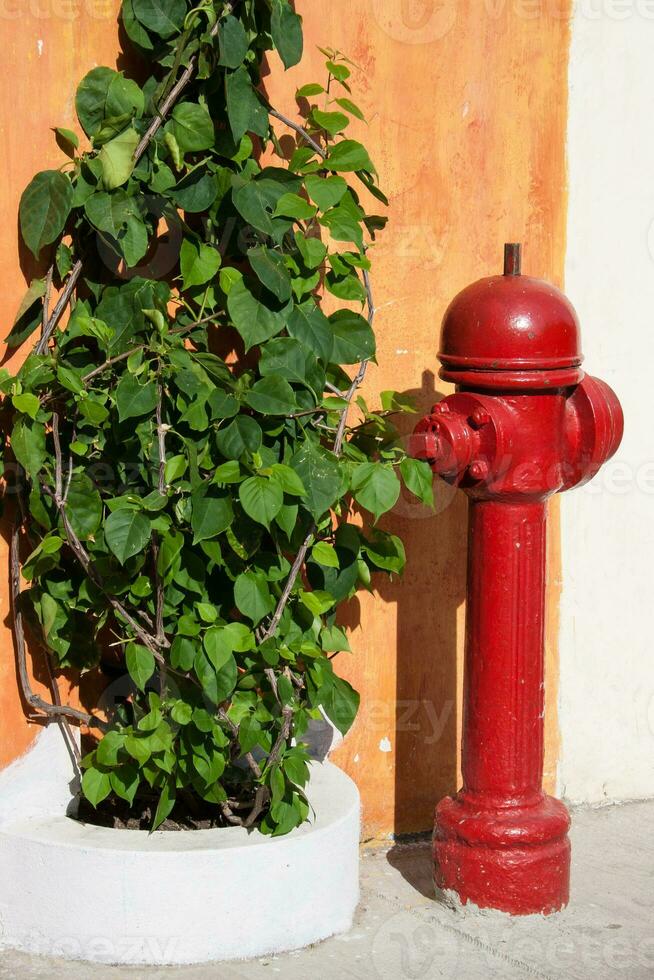 antik röd brandpost i cartagena de Indien foto