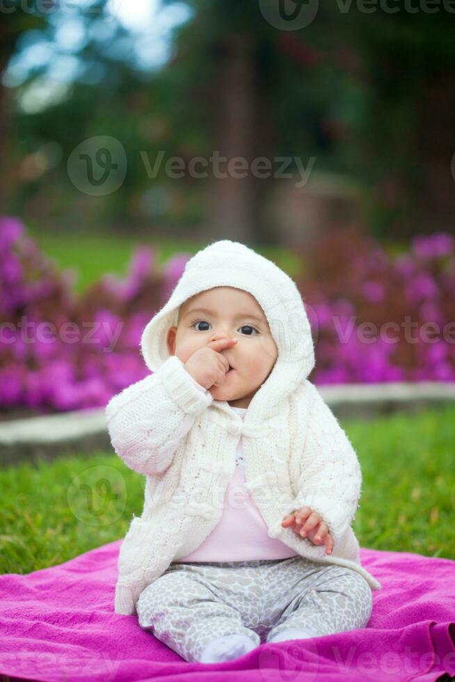 ljuv sex månader gammal bebis flicka Sammanträde på de trädgård i en skön solig dag foto