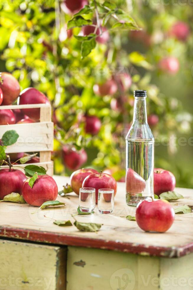 äpple brandy destillat med äpplen på trädgård tabell. foto