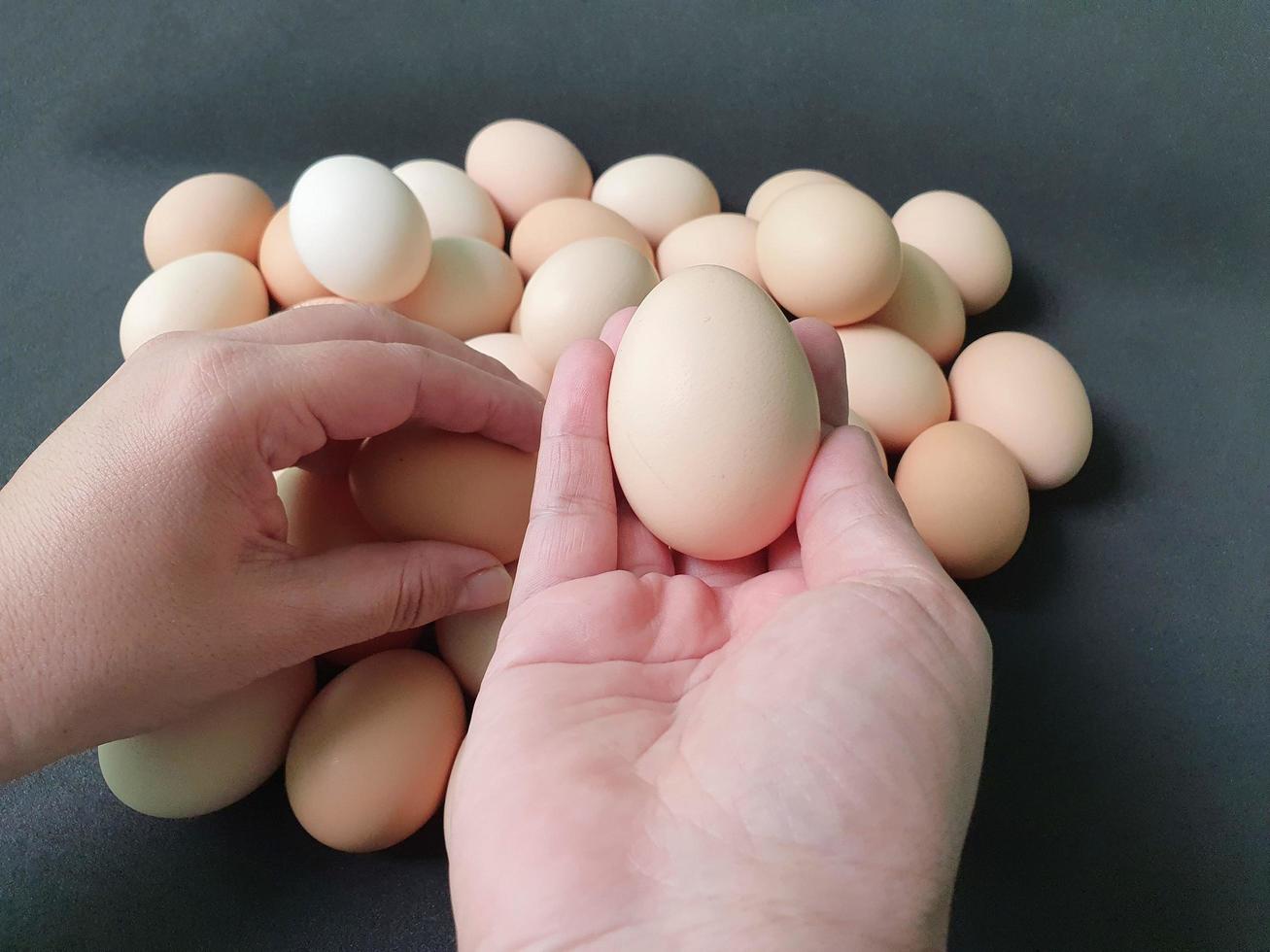 organiskt ägg för en hälsosam kost med protein och lipider foto