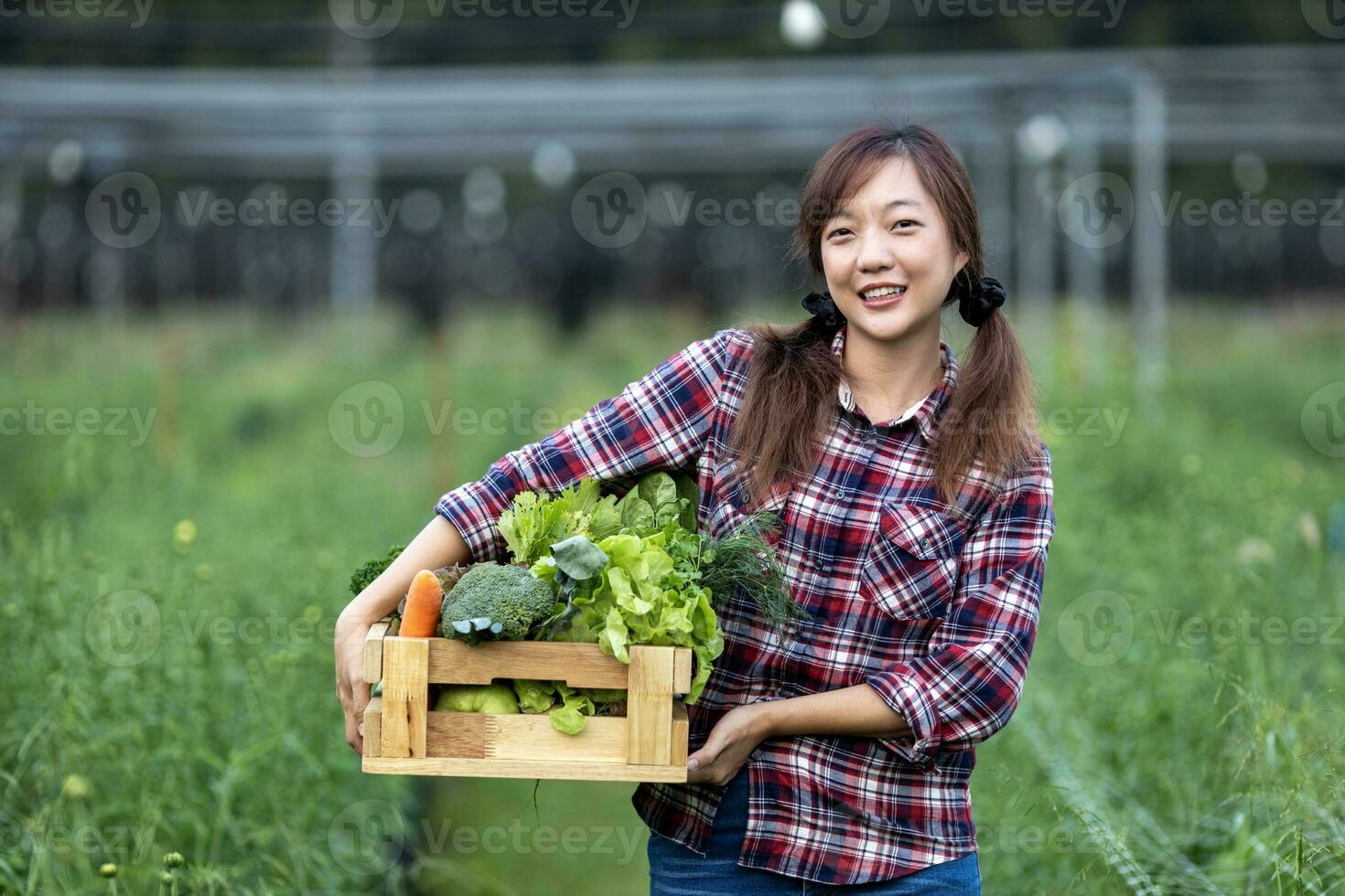 asiatisk kvinna jordbrukare är bärande trä- bricka full av nyligen plocka organiska ämnen grönsaker i henne trädgård för skörda säsong och friska diet mat begrepp foto