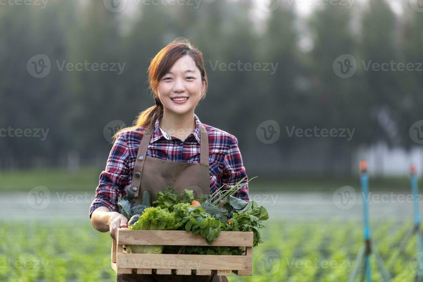 asiatisk kvinna jordbrukare är bärande trä- bricka full av nyligen plocka organiska ämnen grönsaker i henne trädgård för skörda säsong och friska diet mat foto