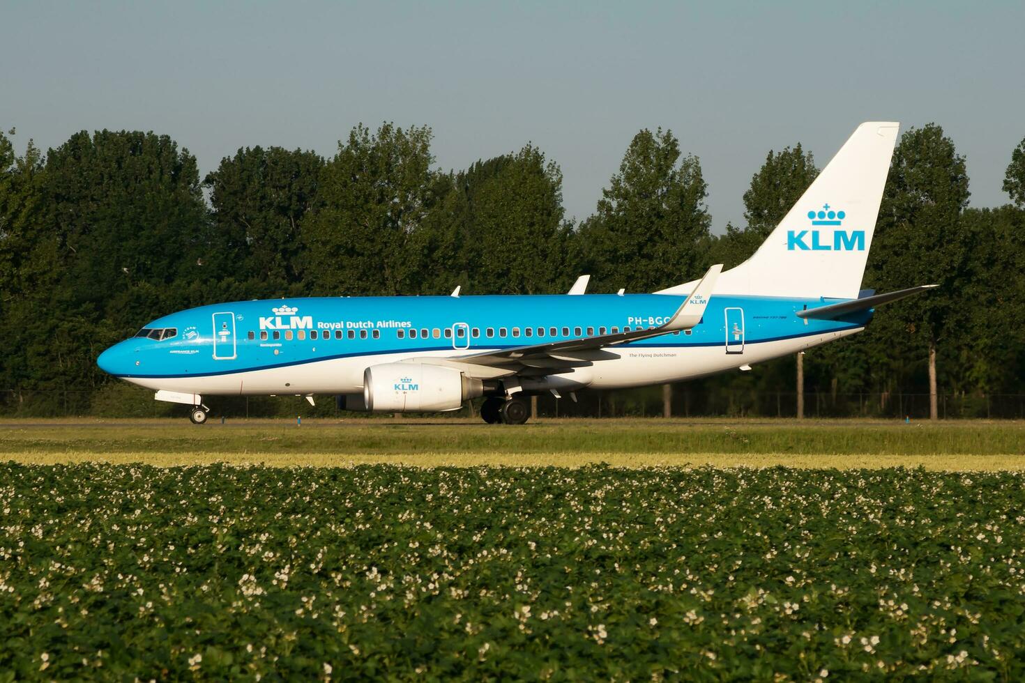 klm kunglig dutch flygbolag boeing 737-700 ph-bgg passagerare plan taxning på amsterdam schipol flygplats foto