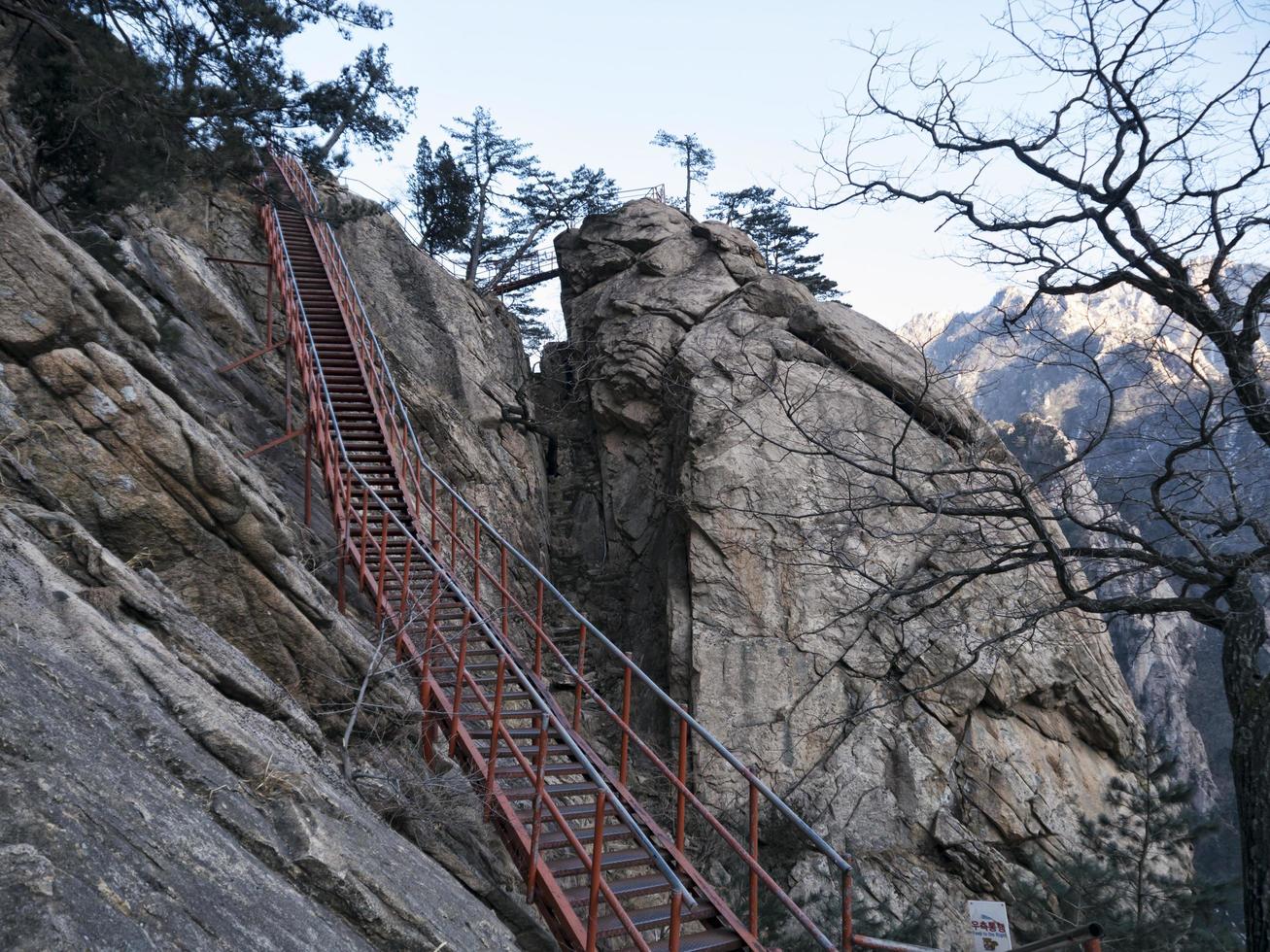 lång trappa i Seoraksan nationalpark, Sydkorea foto