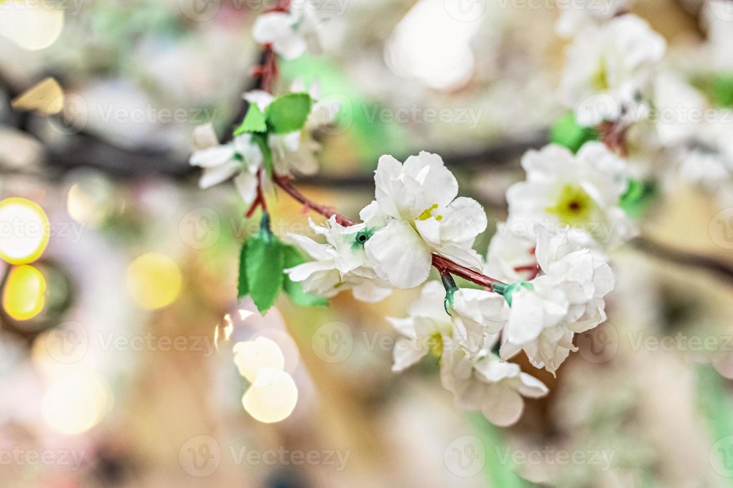 grenar med vita sakura blommor på en suddig bakgrund med bokeh foto