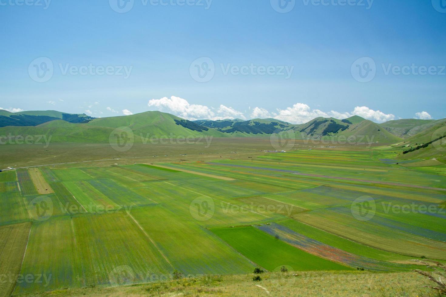 castelluccio di norcia och dess blommande natur foto