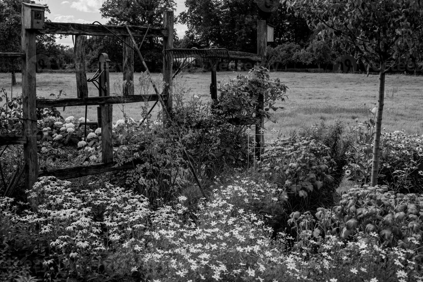 sommar tid i de Tyskland Westfalen foto