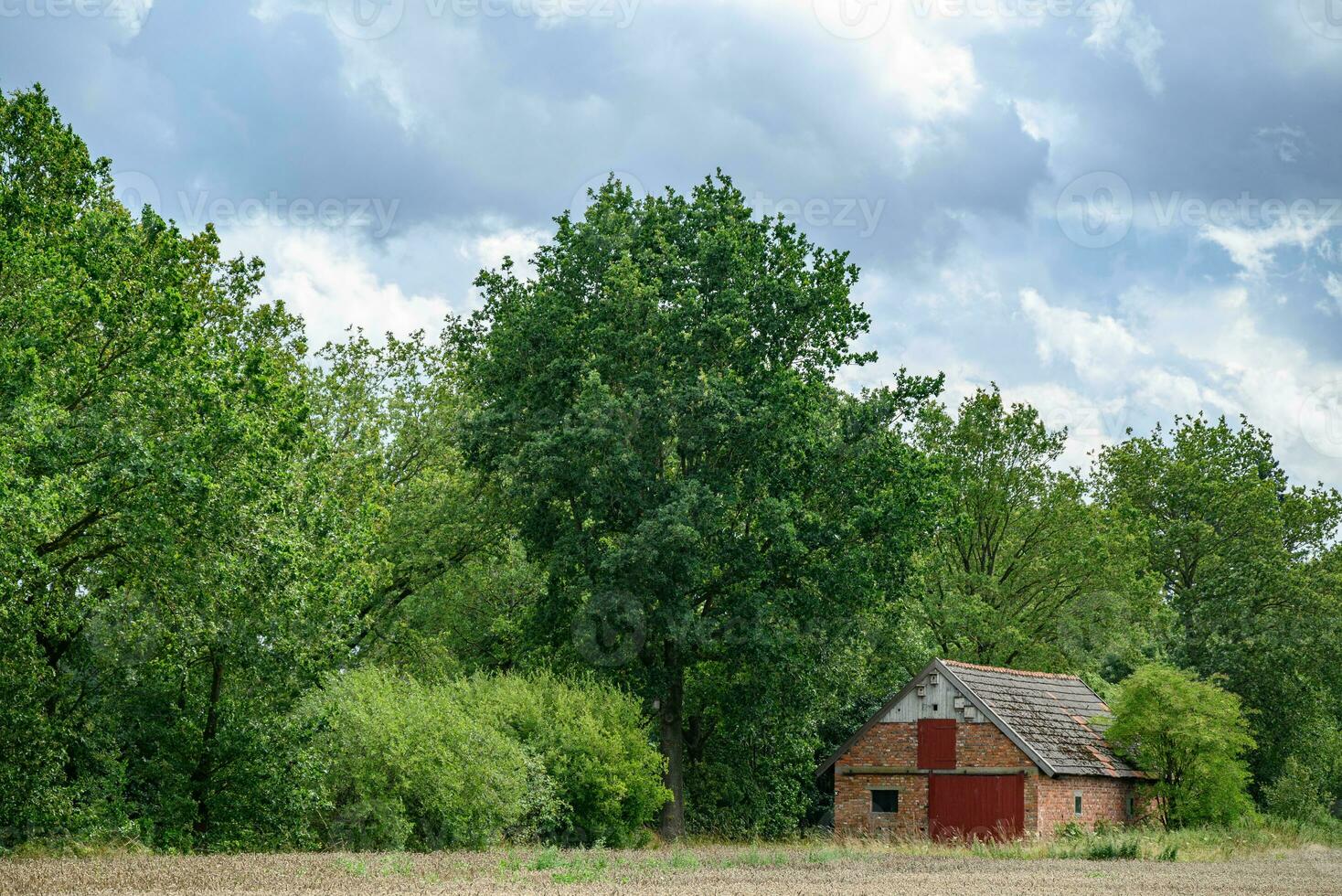 sommar tid i de tysk Westfalen foto