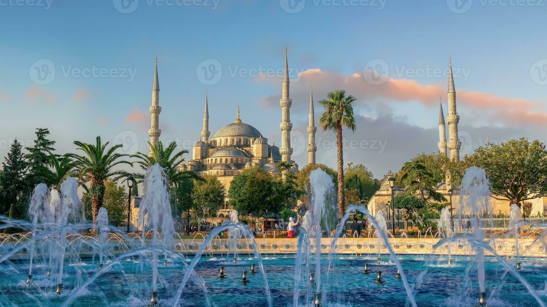 de sultanahmet moské blå moské i istanbul, Kalkon foto