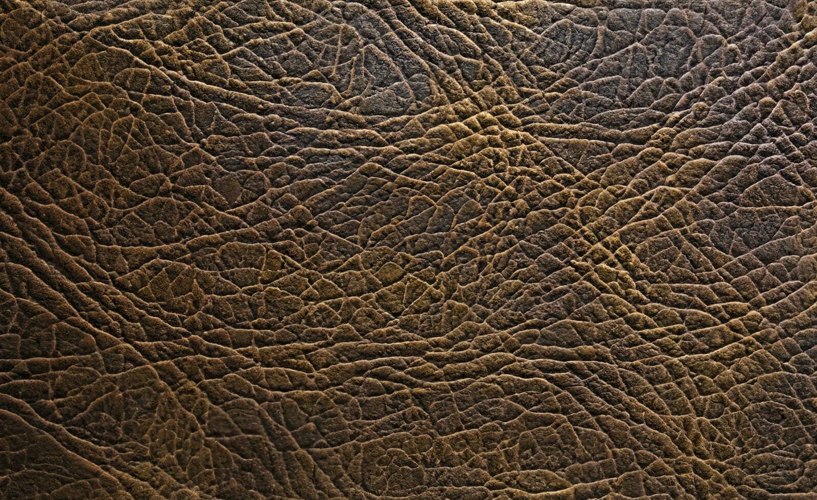 brun läder textur bakgrund foto