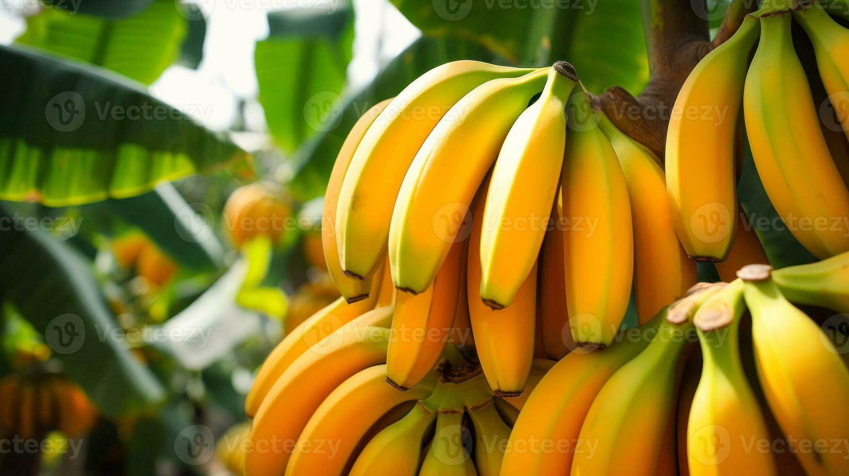 banan träd med mogen frukt generativ ai foto